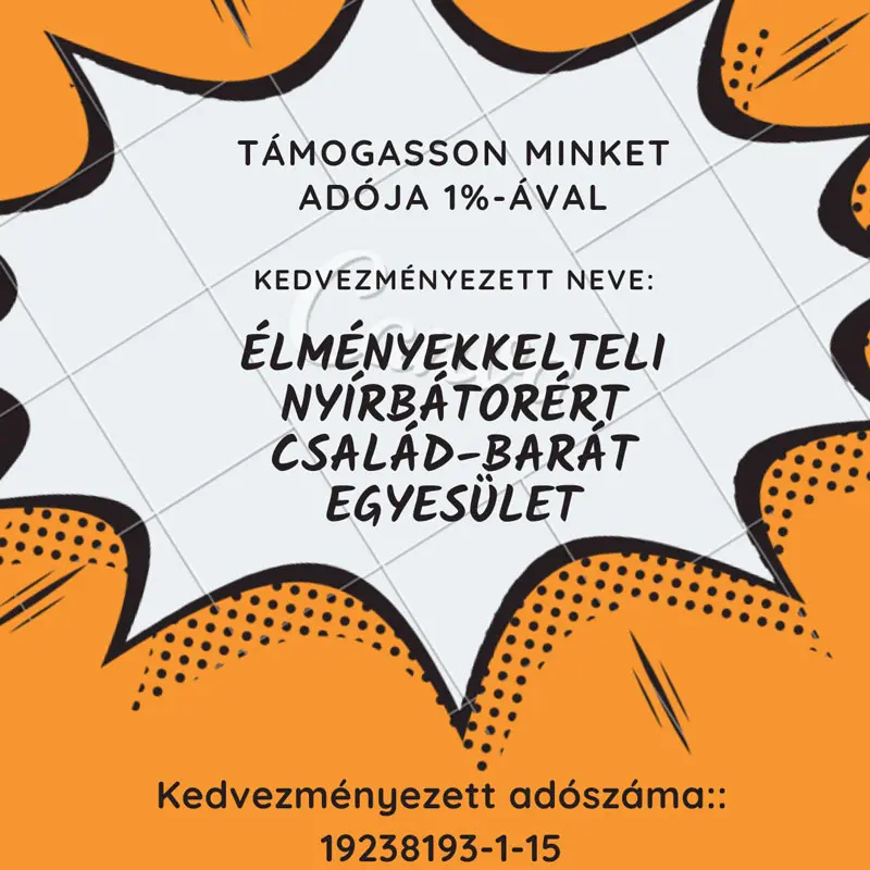 Szja 1% a nyírbátori Család barát Egyesületnek